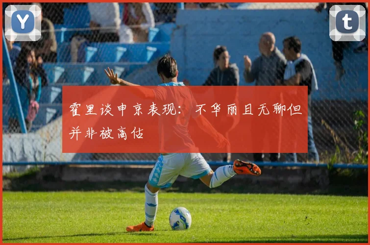 霍里谈申京表现：不华丽且无聊但并非被高估