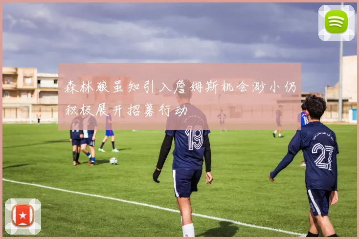 森林狼虽知引入詹姆斯机会渺小仍积极展开招募行动